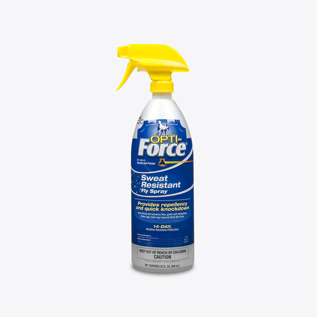 Fly spray 2024 for horses